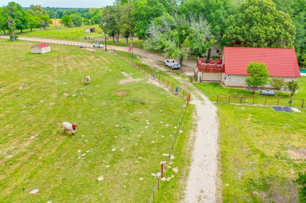 Dog-Friendly Wills Point Home With Grill On 10 Acres 坎顿 外观 照片